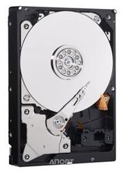 Фото Western Digital WD20EZRZ Фото Western Digital WD20EZRZ